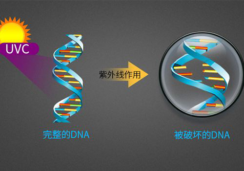 光觸媒滅菌系統(tǒng)